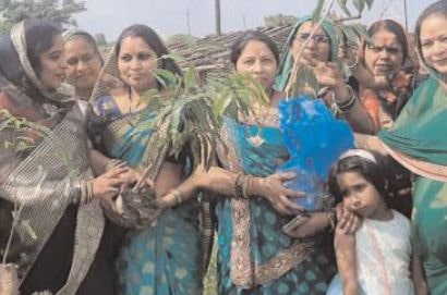 Madhya Pradesh Tailik Sahu Sabha Mahila Mandal District Dhar has planted a tree in the famous religious tourist place Koteshwardham