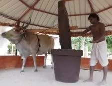 पाम तेलाचा तडका नकोच, तळणाला हवे घाण्याचे तेल