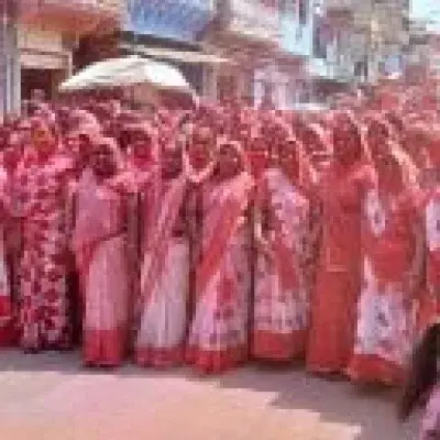 घाणावार तेली समाज द्वारा गौ माता को हरा चारा खिलाकर धूमधाम से मनाया फाग उत्सव एवं रंग तेरस का त्यौहार